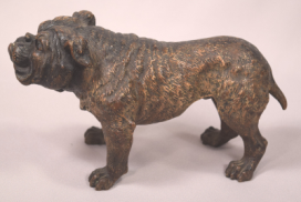 Large Antique Cold Painted Vienna Bronze English Bulldog