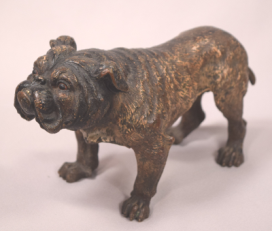 Large Antique Cold Painted Vienna Bronze English Bulldog